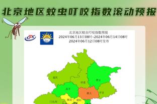 2023年五大联赛巴西球员制造进球榜：罗德里戈、拉菲尼亚前2